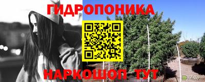 прущие грибы Абинск