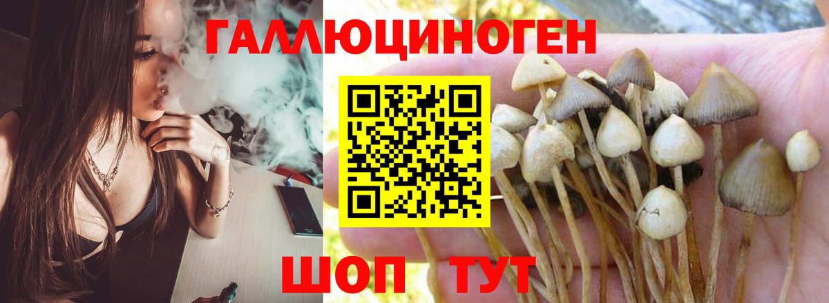 Псилоцибиновые грибы ЛСД  где продают   Россошь  Вход с VPN 